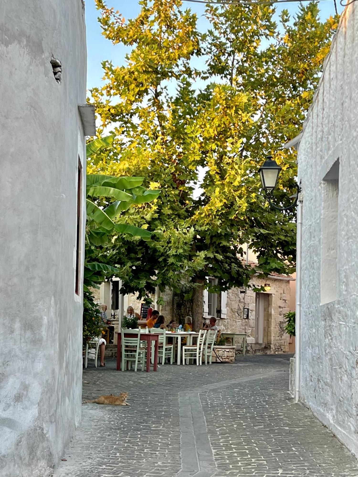 Villa Metapothia Gavalochori Crete ภายนอก รูปภาพ